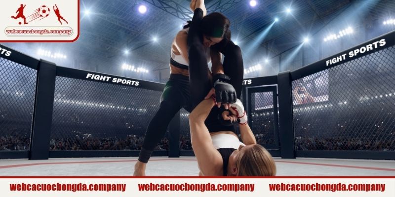Các môn võ nền tảng tạo nên MMA