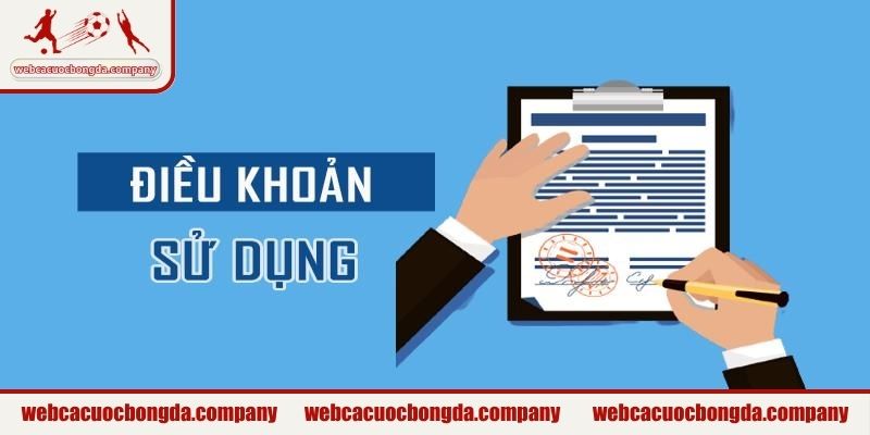 Điều khoản sử dụng là gì?