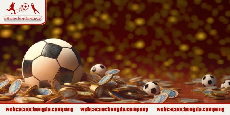 Giới thiệu sứ mệnh phát triển