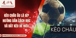 Kèo Châu Âu Là Gì? Hướng Dẫn Cách Đọc Và Bắt Kèo Dễ Hiểu