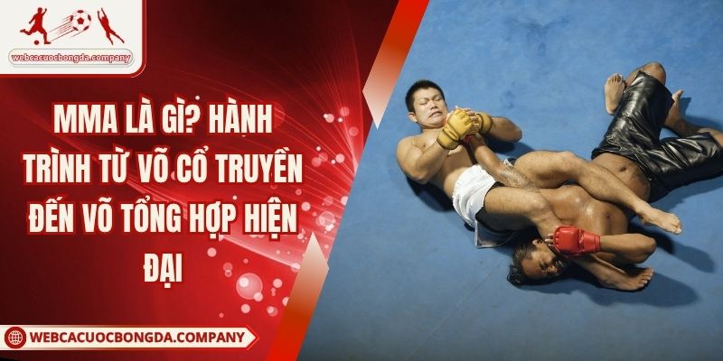 MMA Là Gì? Hành Trình Từ Võ Cổ Truyền Đến Võ Tổng Hợp Hiện Đại