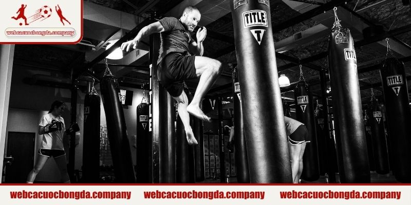 MMA là gì và nguồn gốc hình thành