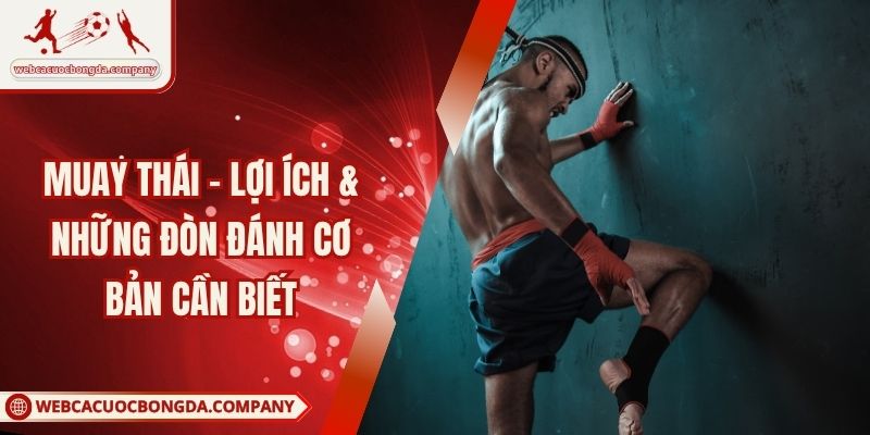 Muay Thái - Lợi Ích & Những Đòn Đánh Cơ Bản Cần Biết