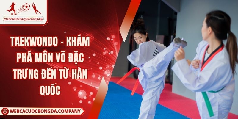 Taekwondo - Khám Phá Môn Võ Đặc Trưng Đến Từ Hàn Quốc