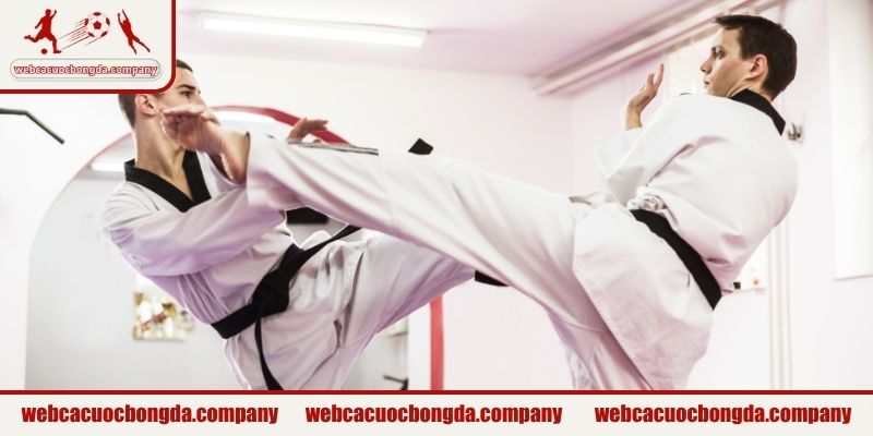 Tìm hiểu Taekwondo là gì?