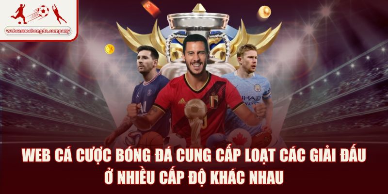 Web cá cược bóng đá cung cấp loạt các giải đấu ở nhiều cấp độ khác nhau