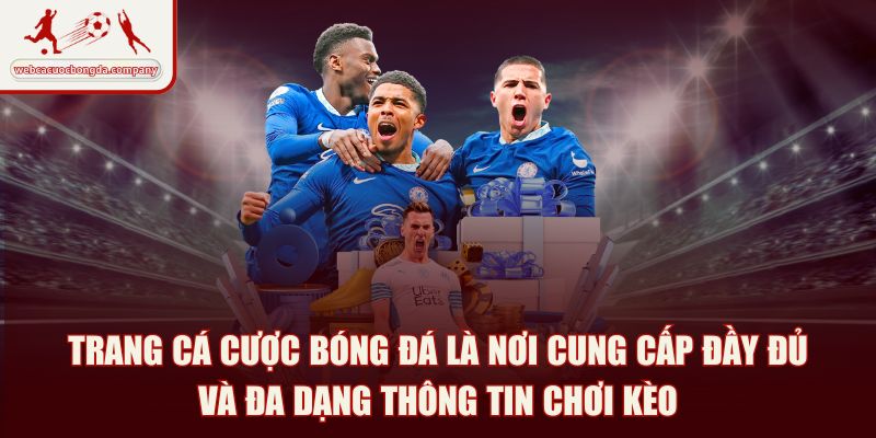 Trang cá cược bóng đá là nơi cung cấp đầy đủ và đa dạng thông tin chơi kèo